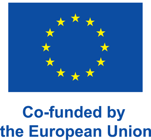 Co-funded by the European Union